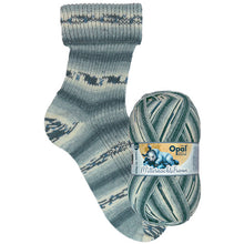 Load image into Gallery viewer, Opal Midnight Dream - 8 Colourways