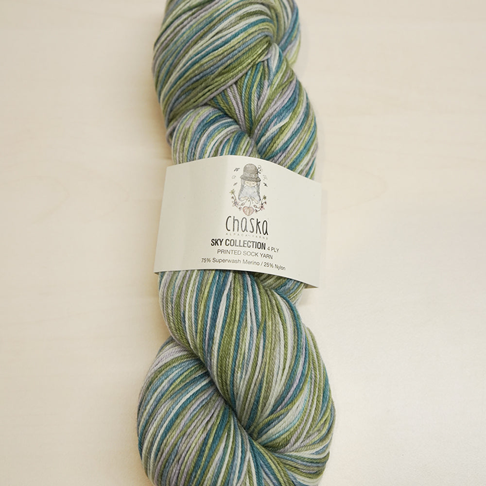 Chaska Sky Collection 4 ply Sock 100g