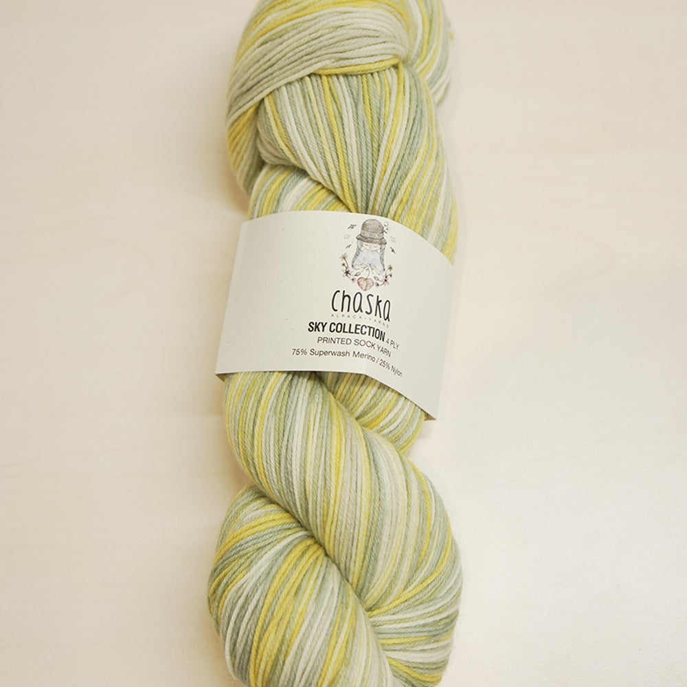 Chaska Sky Collection 4 ply Sock 100g