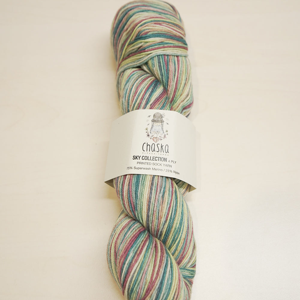 Chaska Sky Collection 4 ply Sock 100g