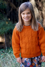 Load image into Gallery viewer, Ginger Sweater LF60 in 12 Ply