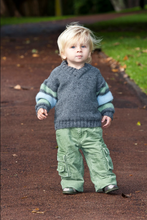 Load image into Gallery viewer, Apple Jube LF13 in 8 Ply