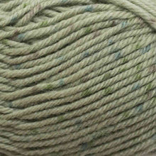 Load image into Gallery viewer, Loyal Vegas Tweed 8 Ply DK

