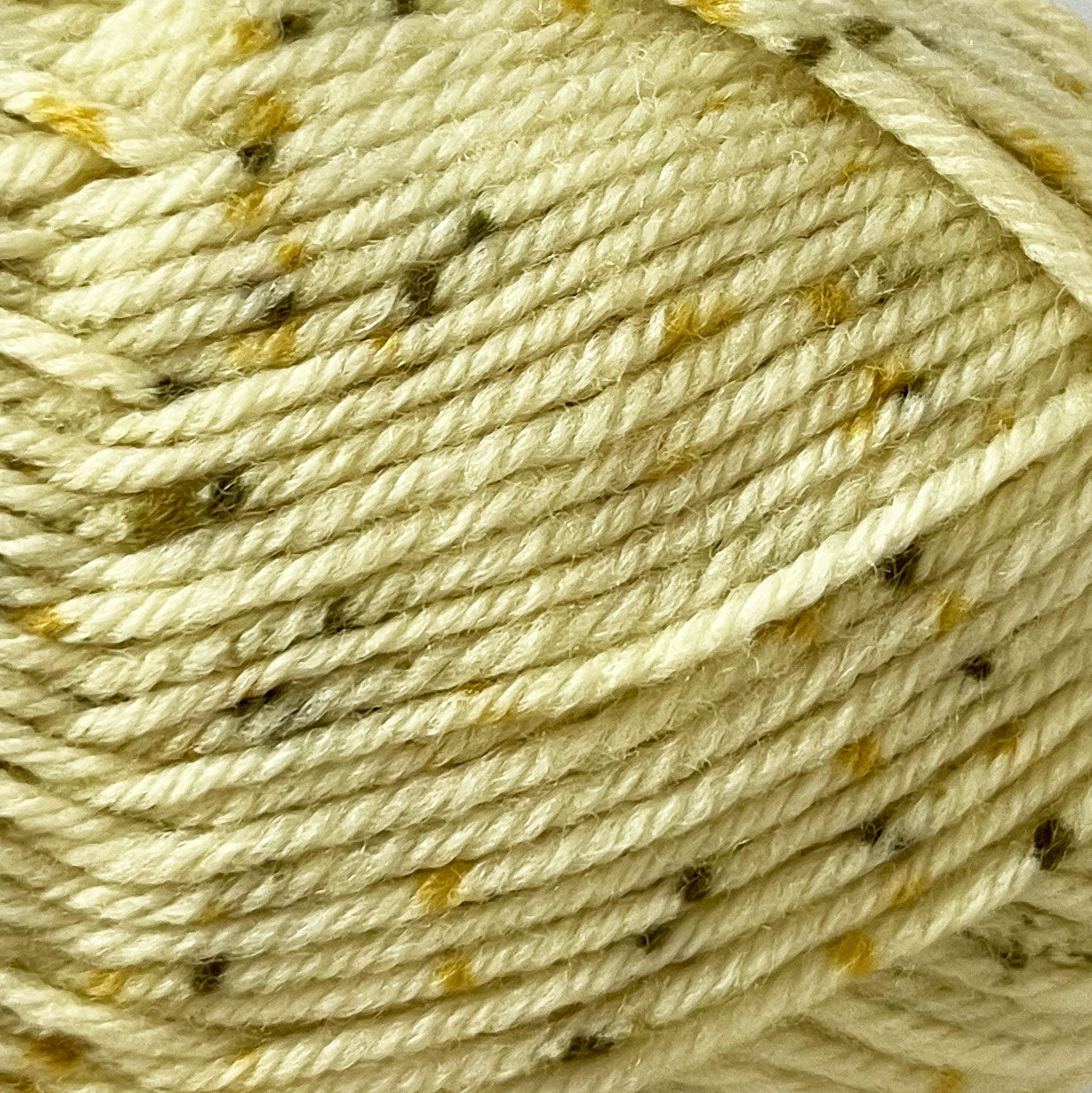 Loyal Vegas Tweed 8 Ply DK