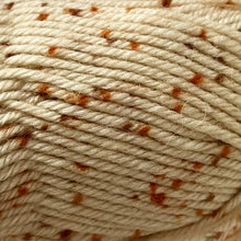 Load image into Gallery viewer, Loyal Vegas Tweed 8 Ply DK
