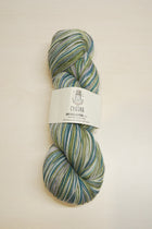 Chaska Sky Collection 4 ply Sock 100g