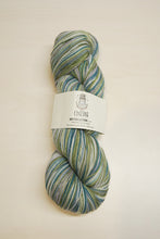Load image into Gallery viewer, Chaska Sky Collection 4 ply Sock 100g
