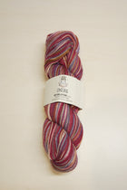 Chaska Sky Collection 4 ply Sock 100g