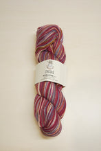 Load image into Gallery viewer, Chaska Sky Collection 4 ply Sock 100g
