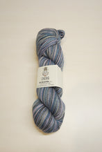 Load image into Gallery viewer, Chaska Sky Collection 4 ply Sock 100g
