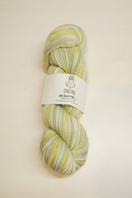 Load image into Gallery viewer, Chaska Sky Collection 4 ply Sock 100g
