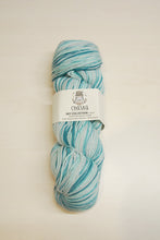 Load image into Gallery viewer, Chaska Sky Collection 4 ply Sock 100g
