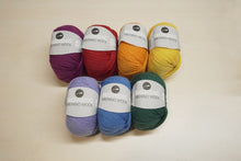 Load image into Gallery viewer, Lana Grossa Nordic Merino 10 Ply - Discontinued
