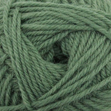 Load image into Gallery viewer, Broadway Purely Wool DK
