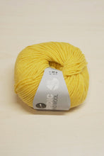 Load image into Gallery viewer, Lana Grossa Nordic Merino 10 Ply - Discontinued

