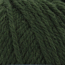 Load image into Gallery viewer, Broadway Purely Wool DK
