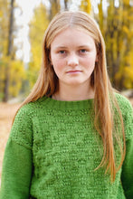 Load image into Gallery viewer, Sabine Sweater HC56 in 8 Ply
