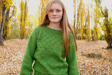 Load image into Gallery viewer, Sabine Sweater HC56 in 8 Ply
