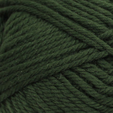 Load image into Gallery viewer, Broadway Merino Aran 10 Ply
