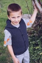 Load image into Gallery viewer, Alexander Hooded Vest LF28 in 8 Ply

