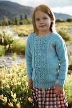 Load image into Gallery viewer, Amika Joy Sweater LF34 in 8 Ply
