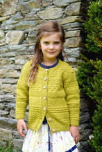 Load image into Gallery viewer, Delta Cardigan LF46 in 8 Ply
