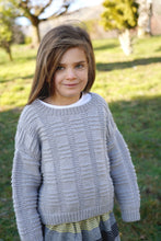 Load image into Gallery viewer, Silver Sweater LF49 in 8 Ply
