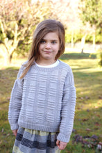 Load image into Gallery viewer, Silver Sweater LF49 in 8 Ply
