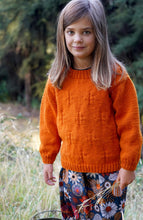 Load image into Gallery viewer, Ginger Sweater LF60 in 12 Ply
