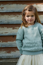 Load image into Gallery viewer, Oakley Sweater LF35 in 8 Ply
