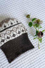 Load image into Gallery viewer, Avery Sweater and Hat LF37 in 8 Ply
